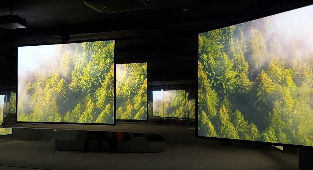 Multi-channel screening of a film-based installation art piece showing images of a Californian Redwood forest canopy, partially covered in mist.